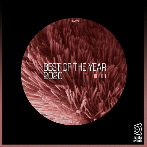 VA - Best of the Year 2020, Pt. 1 [EST004C]